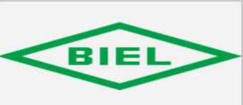 Logo BIEL